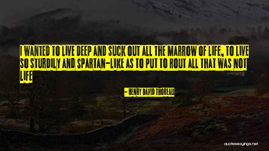 Bisceglias Quotes By Henry David Thoreau Bisceglias Quotes By Henry David Thoreau