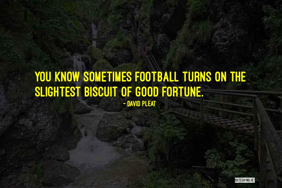 Biscuit Quotes By David Pleat