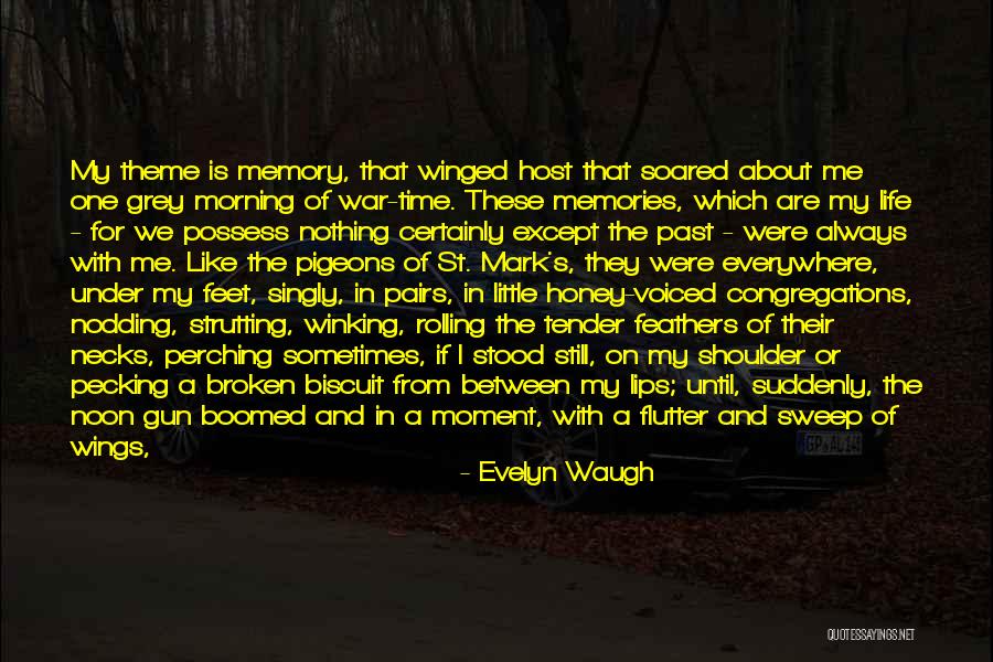 Biscuit Quotes By Evelyn Waugh