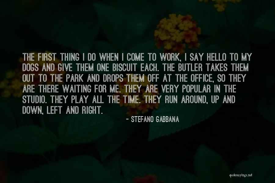 Biscuit Quotes By Stefano Gabbana