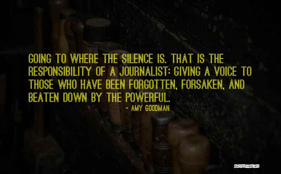 Biseokara Quotes By Amy Goodman Biseokara Quotes By Amy Goodman