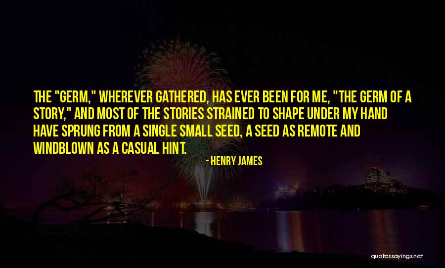 Biserka Sundjer Quotes By Henry James Biserka Sundjer Quotes By Henry James