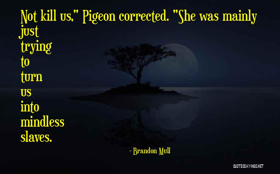 Bishi Boy Quotes By Brandon Mull Bishi Boy Quotes By Brandon Mull