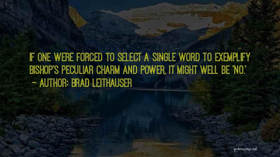 Bishops Quotes By Brad Leithauser