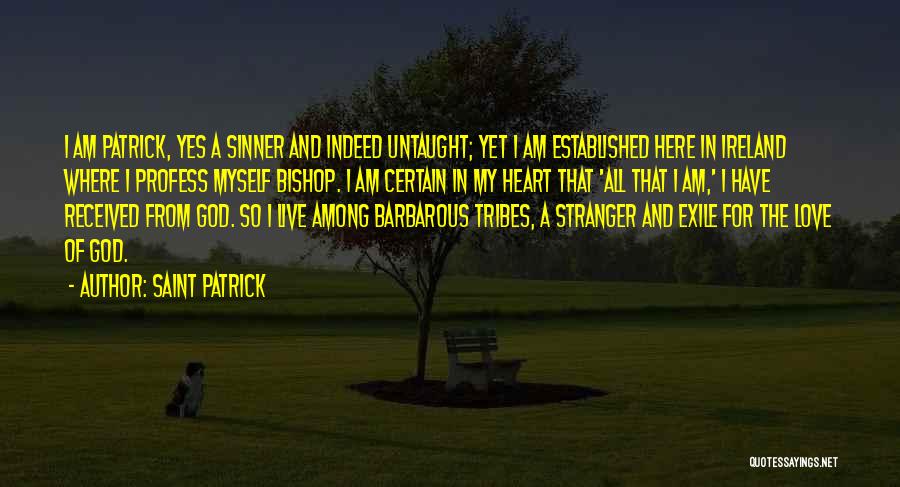 Bishops Quotes By Saint Patrick