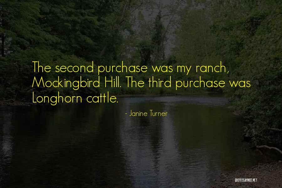 Bisiaux Pierre Quotes By Janine Turner Bisiaux Pierre Quotes By Janine Turner