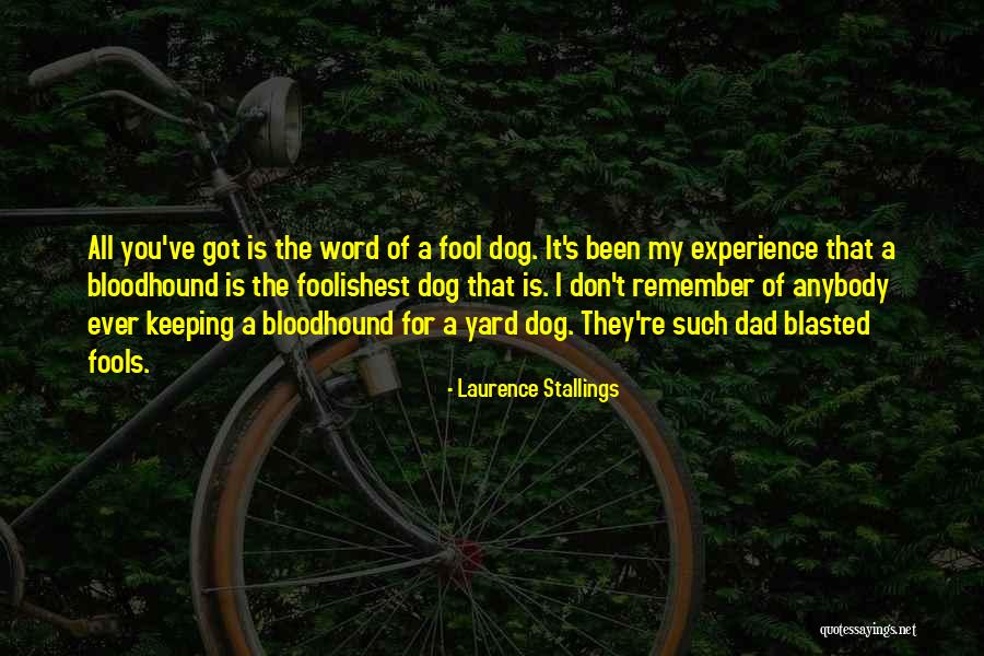 Bisiesto Translation Quotes By Laurence Stallings Bisiesto Translation Quotes By Laurence Stallings
