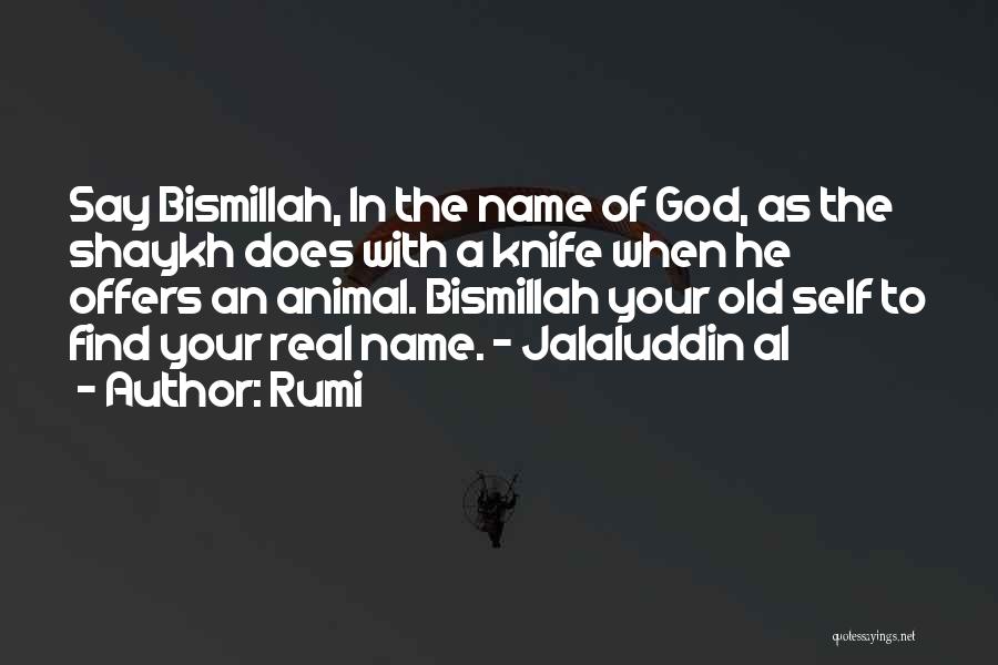 Bismillah Quotes By Rumi