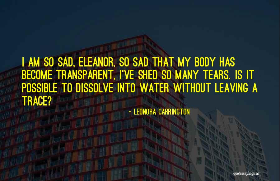 Biswal Na Quotes By Leonora Carrington Biswal Na Quotes By Leonora Carrington