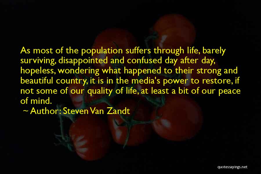 Bit Confused Quotes By Steven Van Zandt