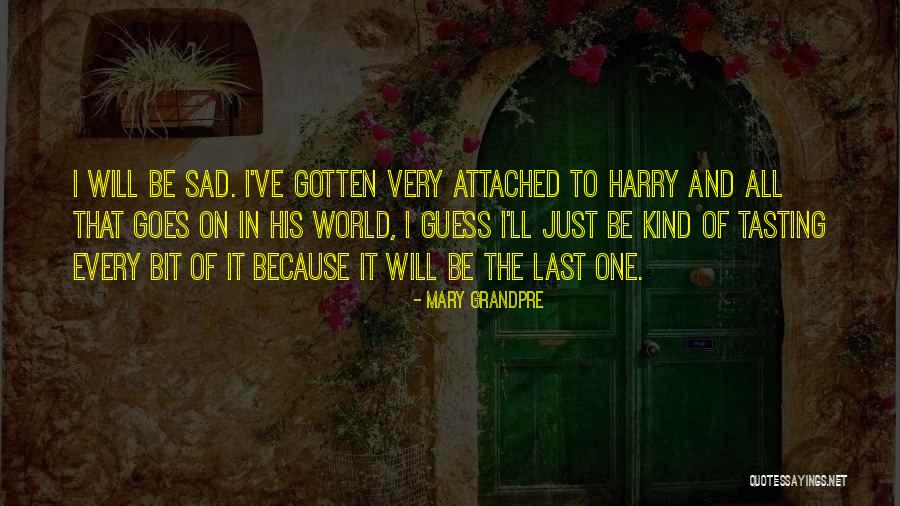 Bit Sad Quotes By Mary Grandpre Bit Sad Quotes By Mary Grandpre