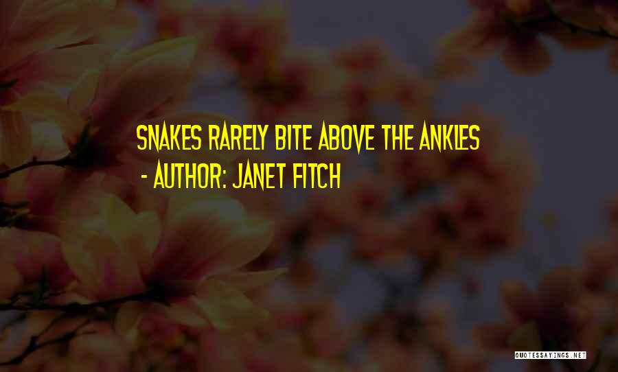 Bite Quotes By Janet Fitch