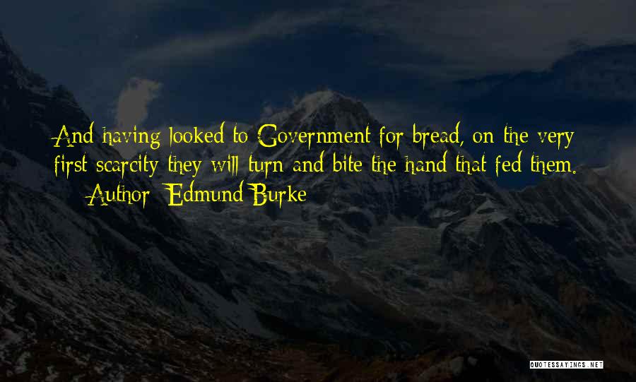 Bite The Hand Quotes By Edmund Burke