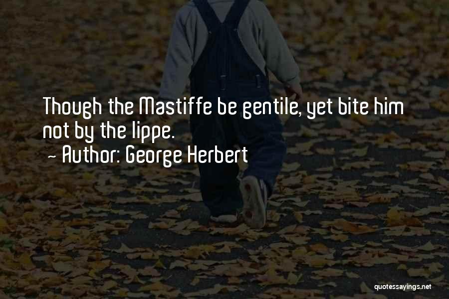 Bites Quotes By George Herbert