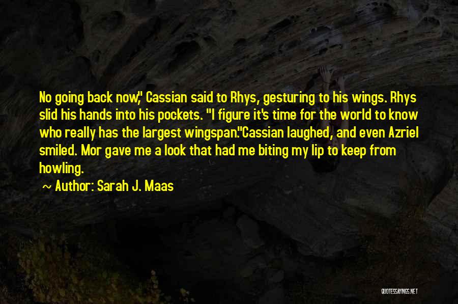 Biting Lip Quotes By Sarah J. Maas