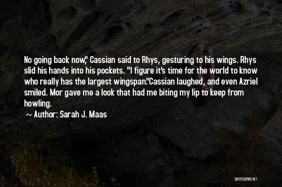 Biting My Lip Quotes By Sarah J. Maas