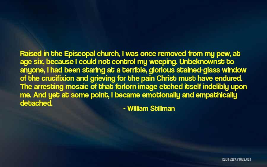Bitonto Tv Quotes By William Stillman Bitonto Tv Quotes By William Stillman