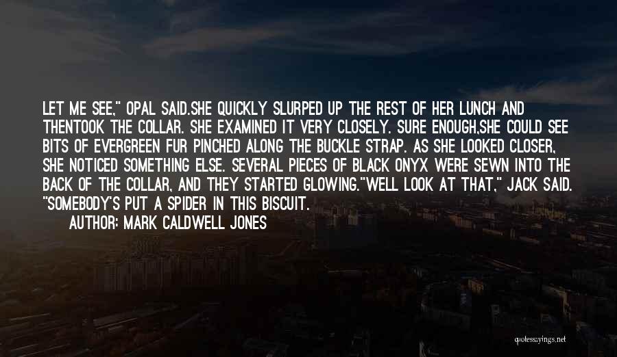Bits And Pieces Quotes By Mark Caldwell Jones