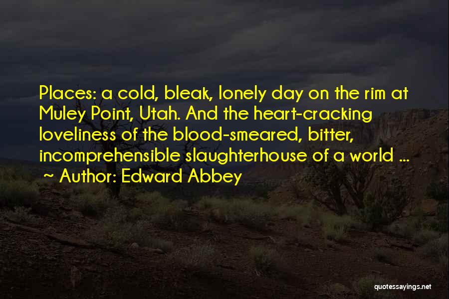 Bitter And Lonely Quotes By Edward Abbey