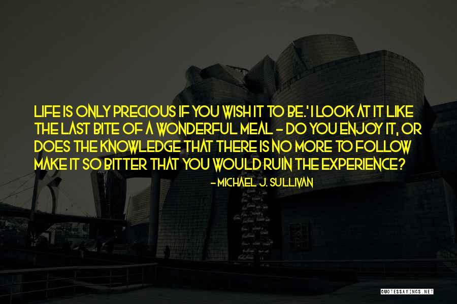 Bitter Experience Quotes By Michael J. Sullivan Bitter Experience Quotes By Michael J. Sullivan