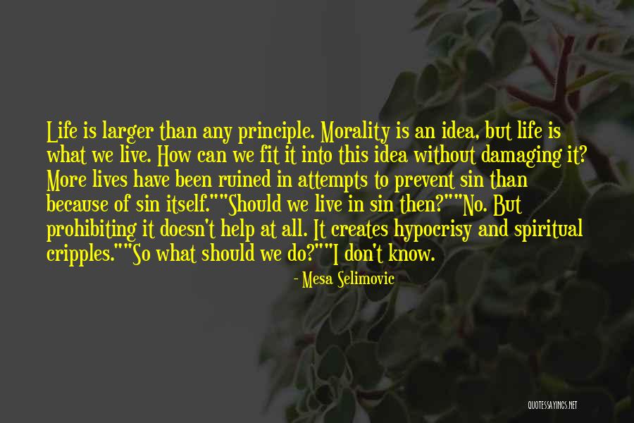 Bitterbridge Game Quotes By Mesa Selimovic Bitterbridge Game Quotes By Mesa Selimovic