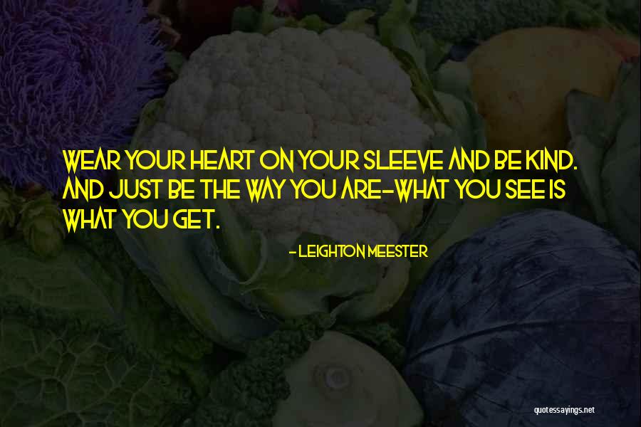 Bitterns And Rails Quotes By Leighton Meester Bitterns And Rails Quotes By Leighton Meester