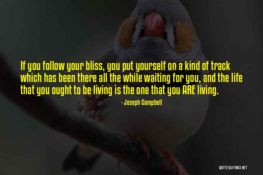 Bitterroot River Quotes By Joseph Campbell Bitterroot River Quotes By Joseph Campbell