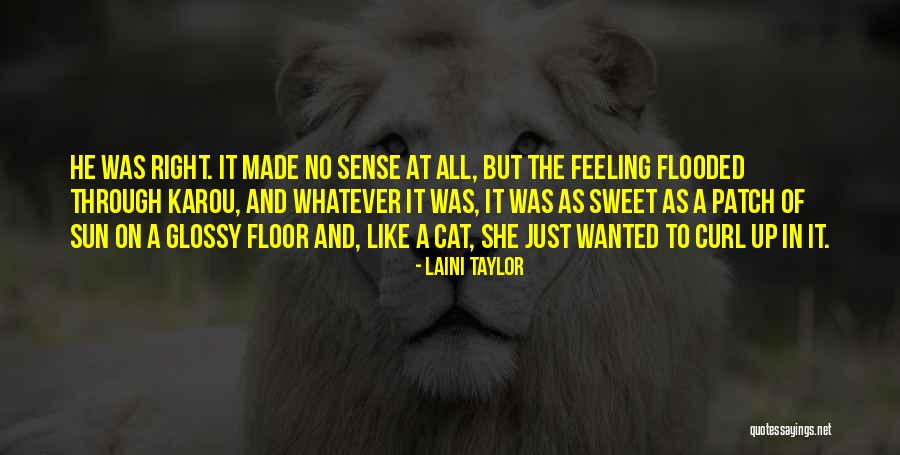 Bitterroot River Quotes By Laini Taylor Bitterroot River Quotes By Laini Taylor