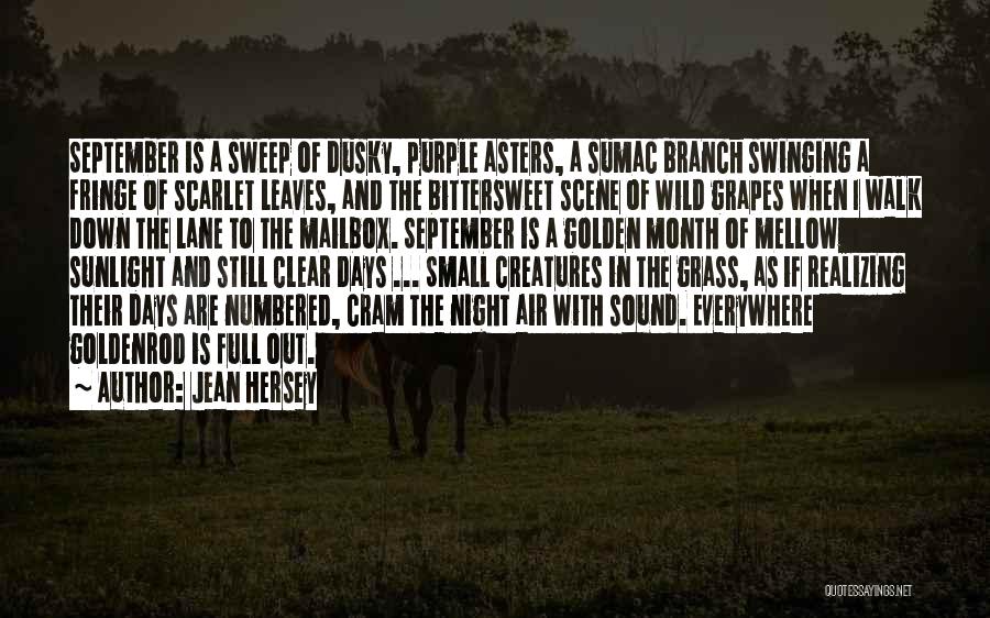 Bittersweet Quotes By Jean Hersey