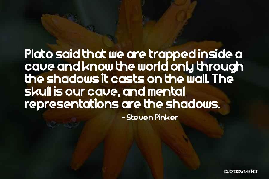Biwer Associates Quotes By Steven Pinker Biwer Associates Quotes By Steven Pinker