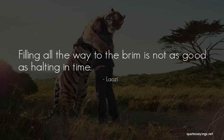 Bizarrely In Minecraft Quotes By Laozi Bizarrely In Minecraft Quotes By Laozi