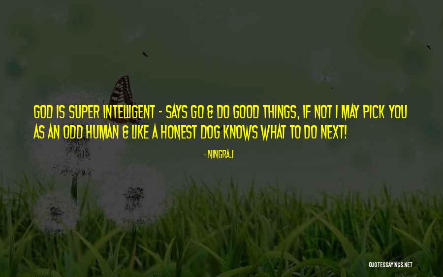Bizen Osafune Quotes By Ningraj Bizen Osafune Quotes By Ningraj