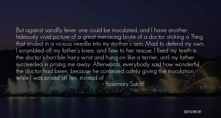 Bizizmir Quotes By Rosemary Sutcliff Bizizmir Quotes By Rosemary Sutcliff