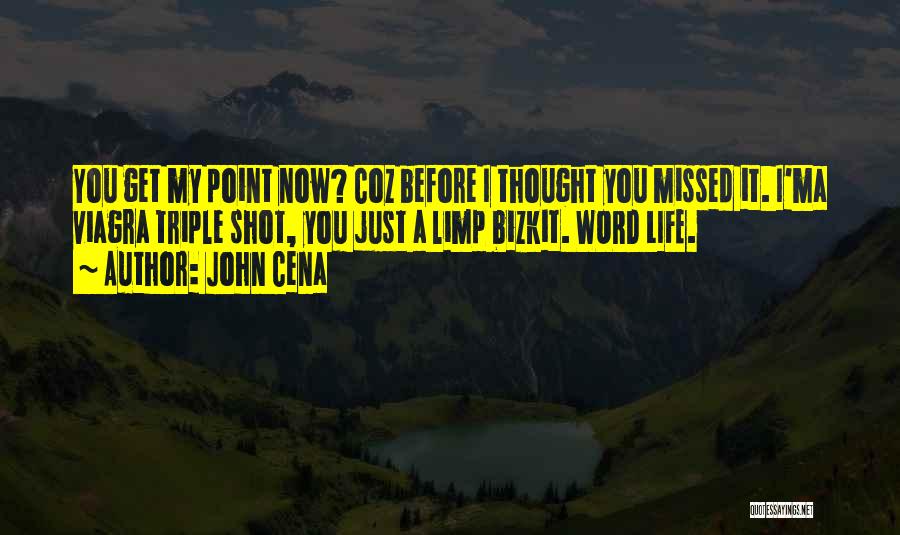 Bizkit Quotes By John Cena