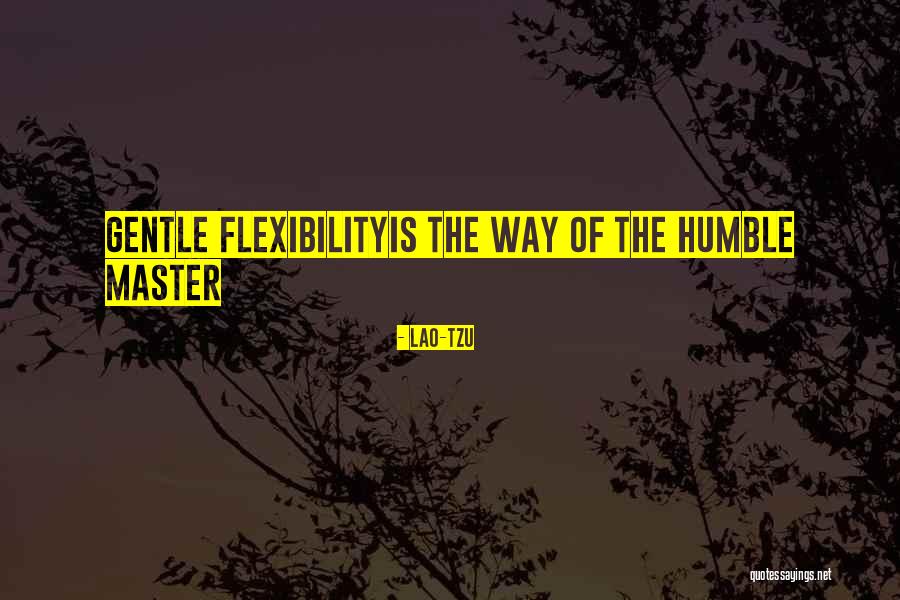 Bjarni Benediktsson Quotes By Lao-Tzu Bjarni Benediktsson Quotes By Lao-Tzu
