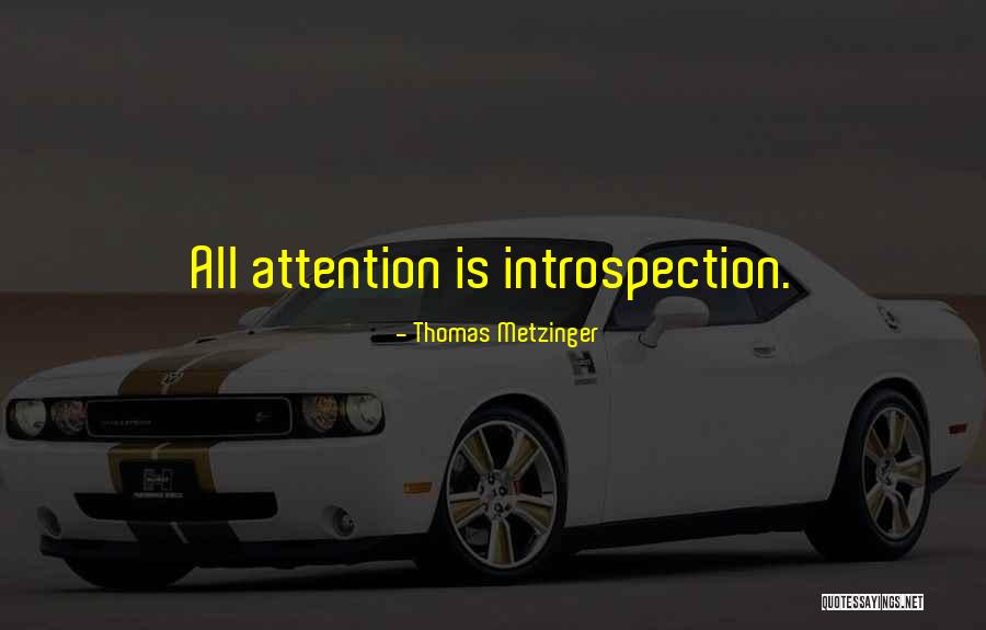 Bjayzl Quotes By Thomas Metzinger Bjayzl Quotes By Thomas Metzinger