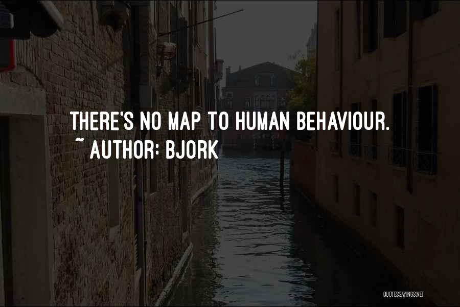 Bjork Quotes 132025