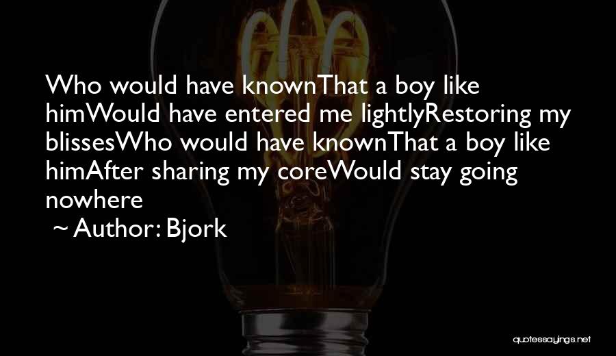 Bjork Quotes 2175073