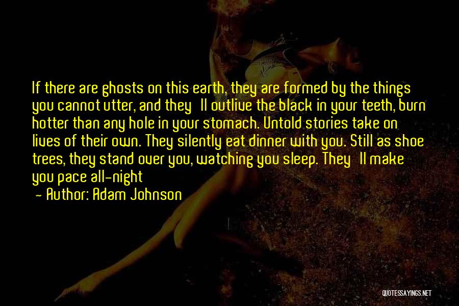 Black Adam Quotes By Adam Johnson