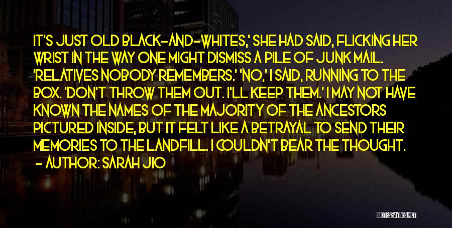 Black Ancestors Quotes By Sarah Jio