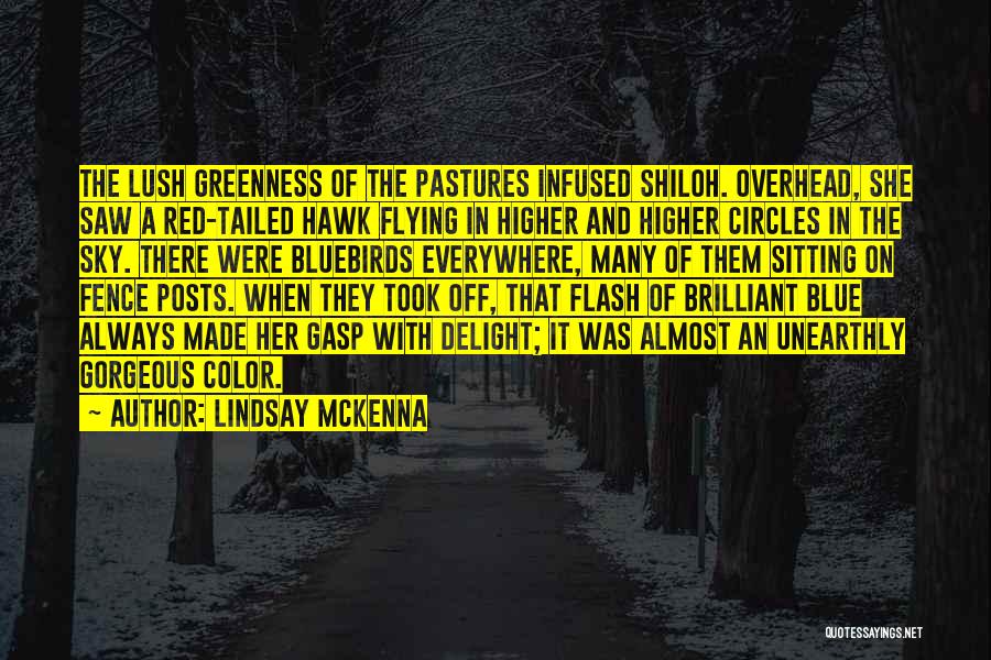 Black And Blue Quotes By Lindsay McKenna