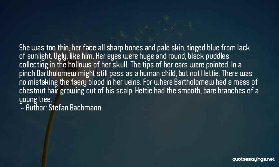 Black And Blue Quotes By Stefan Bachmann