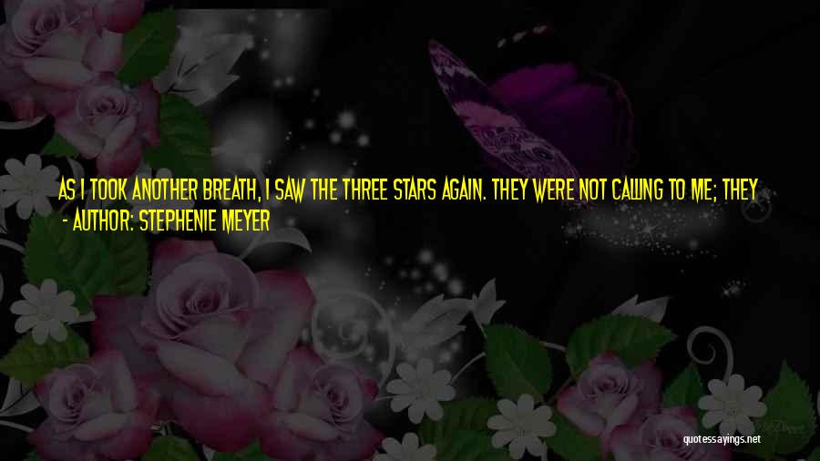 Black And Blue Quotes By Stephenie Meyer