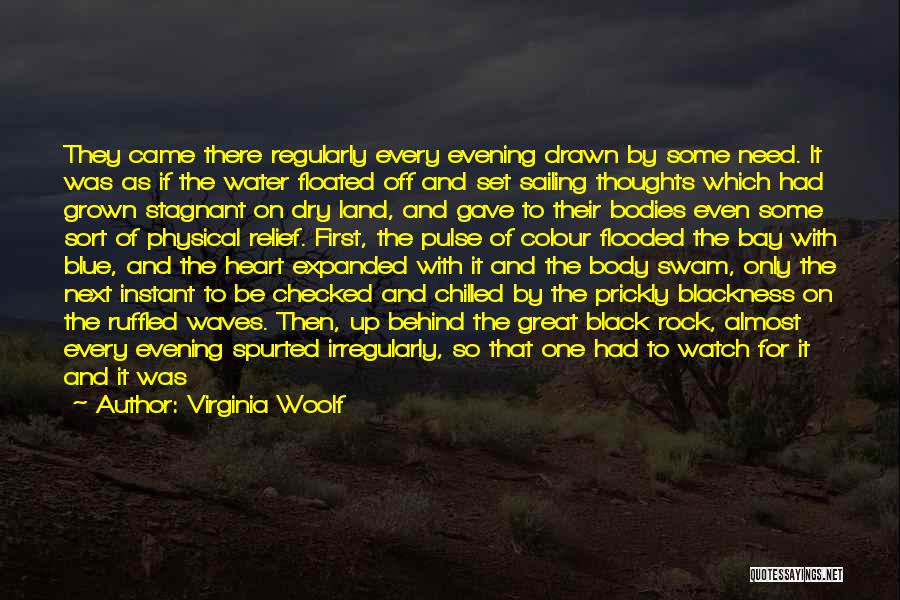 Black And Blue Quotes By Virginia Woolf