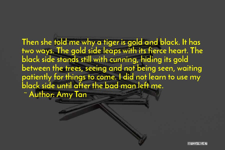 Black And Gold Quotes By Amy Tan