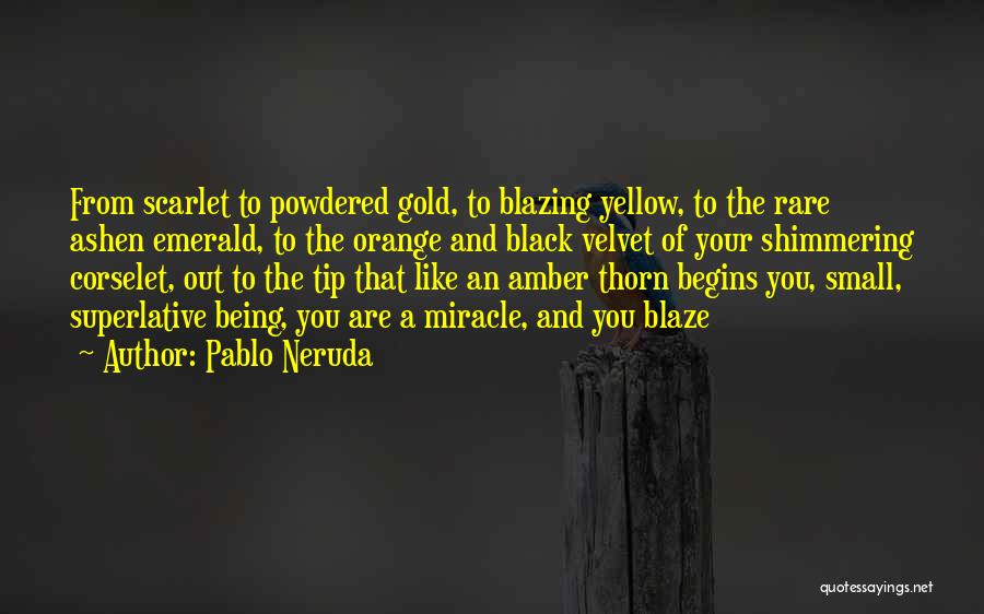 Black And Gold Quotes By Pablo Neruda