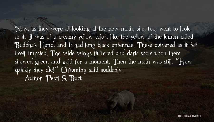 Black And Gold Quotes By Pearl S. Buck