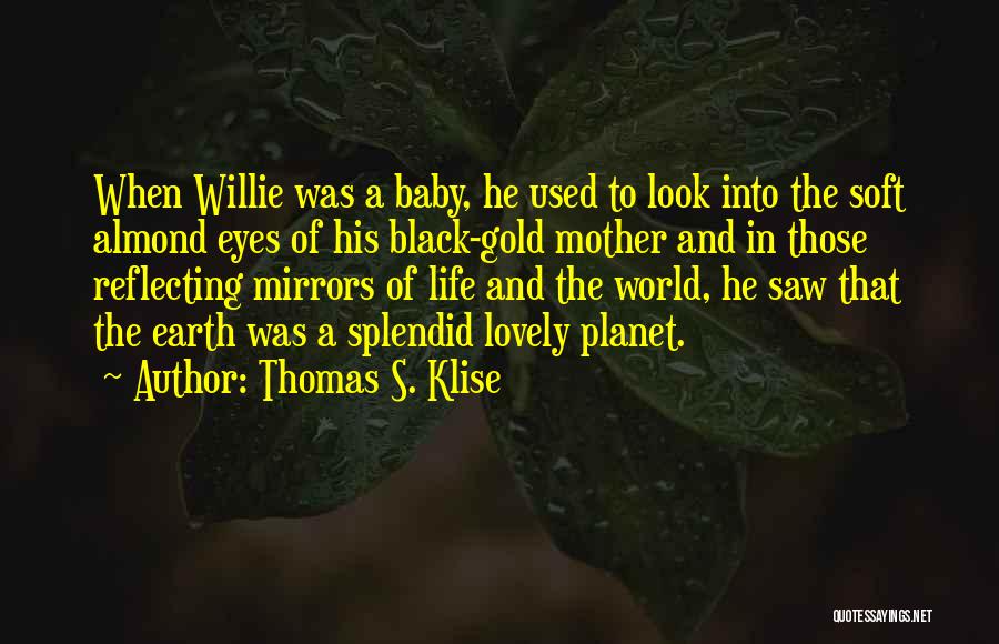 Black And Gold Quotes By Thomas S. Klise