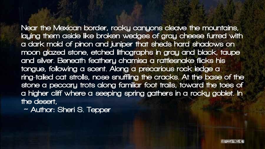 Black And Gray Quotes By Sheri S. Tepper