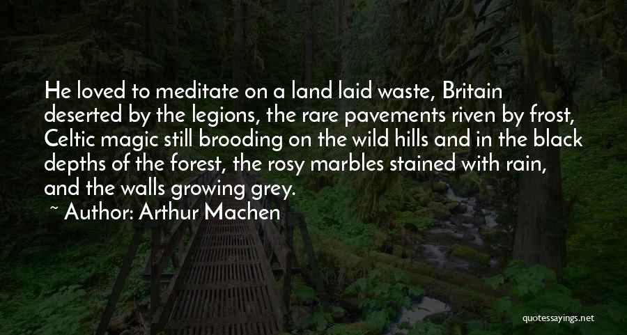 Black And Grey Quotes By Arthur Machen